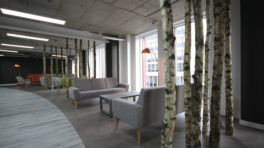Blog Bio Birch in the office