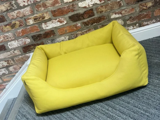 Trev will be made up when he returns to the office! - what a stylish dog bed - thank you so much @allermuir @dodsleyemma 
#officepooch #shapingamazingspaces 🐶🐕 🐾 ❤️